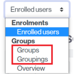 Access the management of classroom groups and groupings