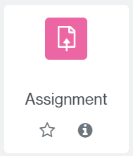 Add an assignment