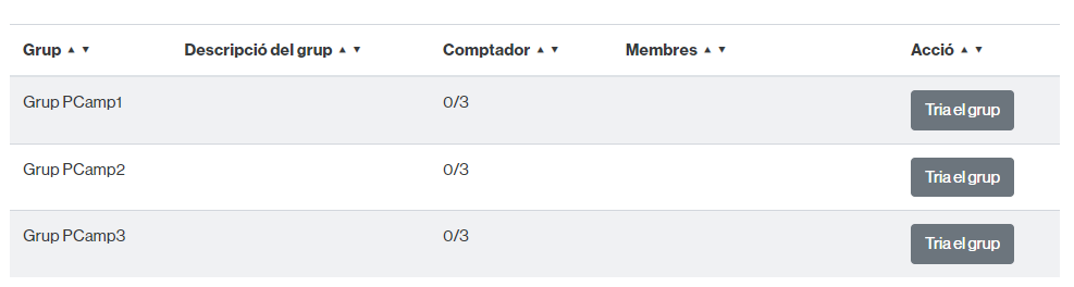 Vista per escollir un grup de l'activitat