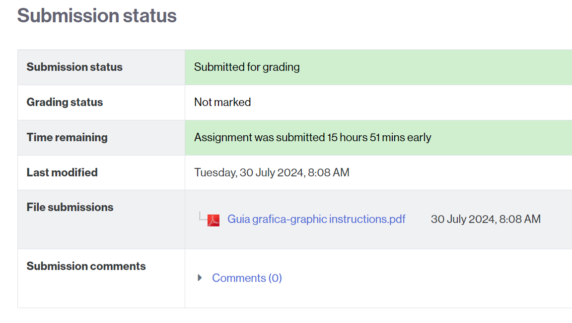 View for a correct task submission