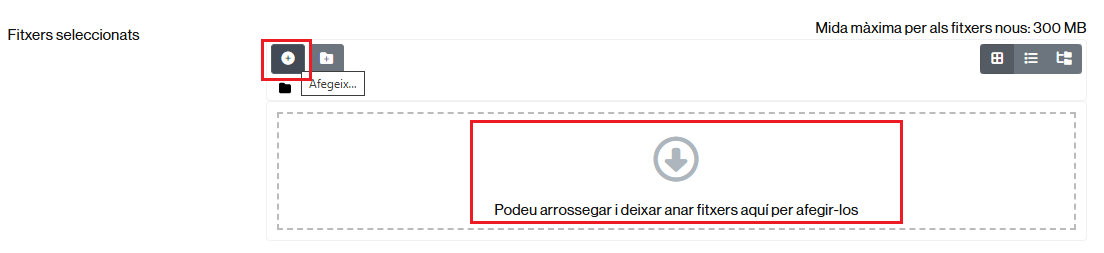 Opcions per adjuntar un fitxer