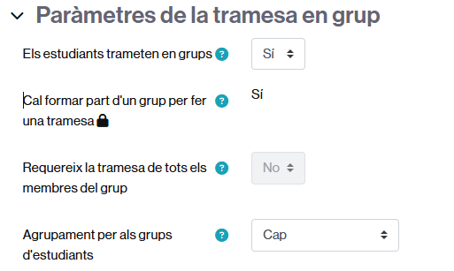 Elecció del tipus de tasca: individual o grupal