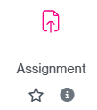 Assignment icon