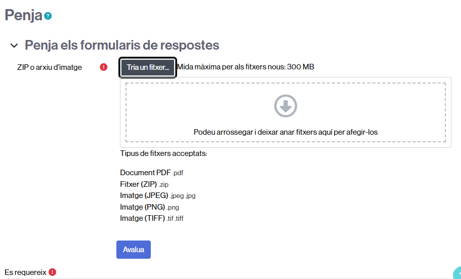 Secció on pujar el zip