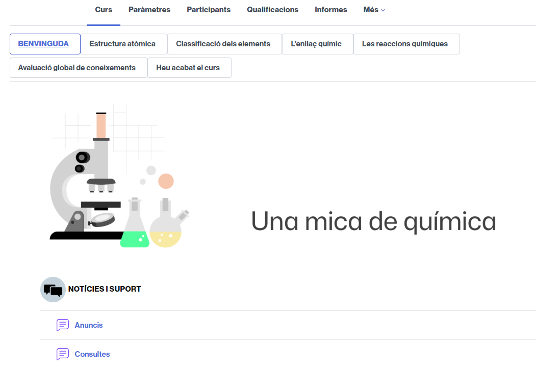 Exemple d'una aula amb un format de tipus per pestanya