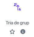 Icona per afegir una activitat de Tria de grup