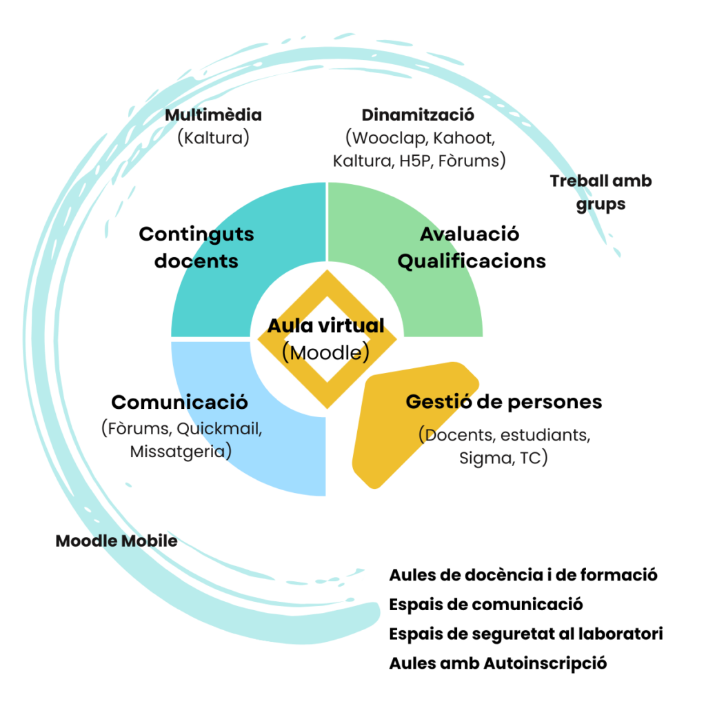 Visió de l'aula virtual al CV