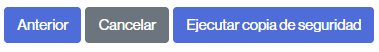 Botón para realizar la copia de seguridad de los elementos escogidos